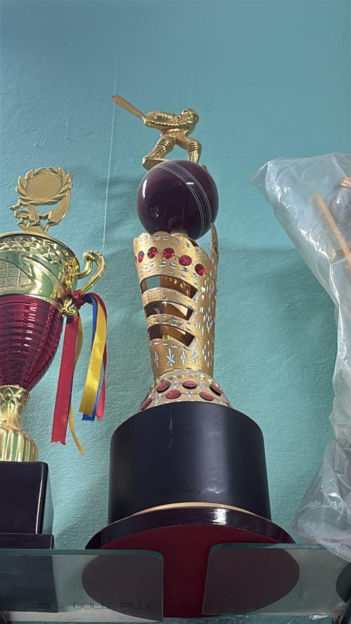 Custom cricket championship trophy