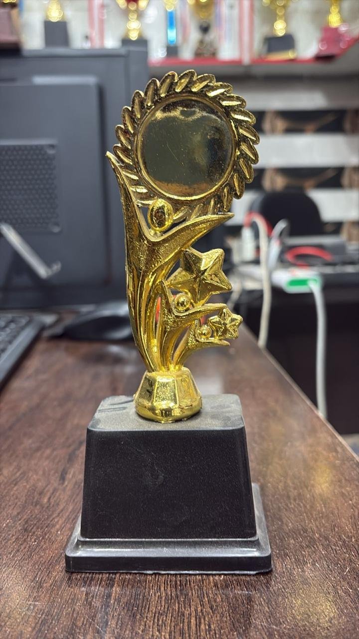 Gold star achievement trophy